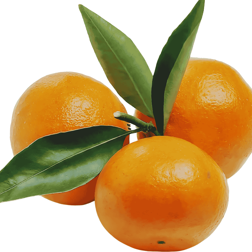 Baby Oranges