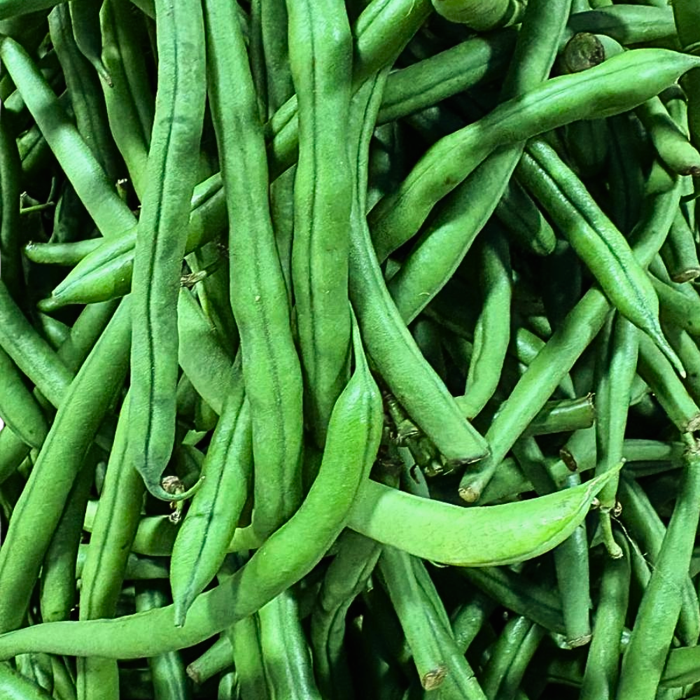 Beans Haricot (Beeniskaya)