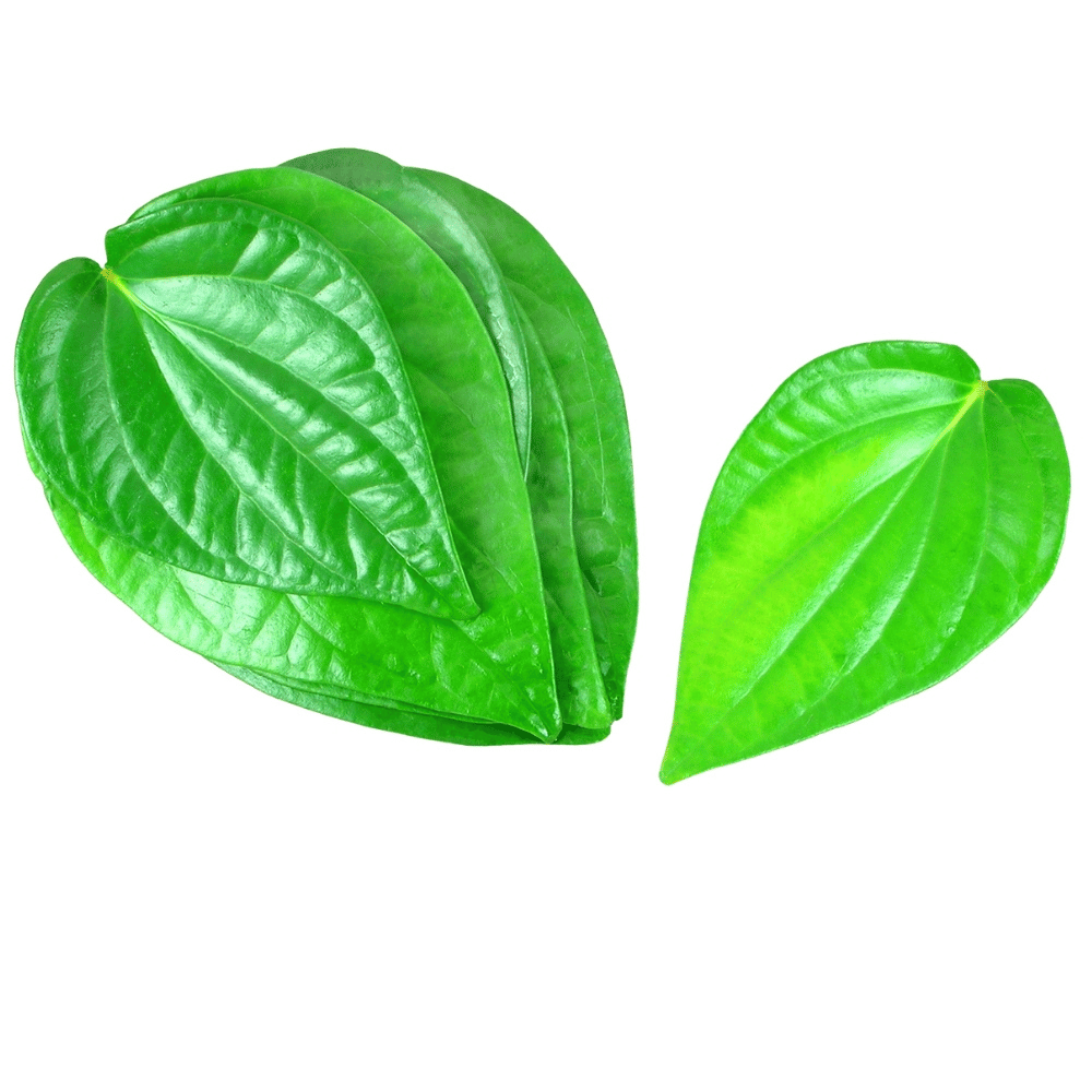 Betel Leafs (Tamalapaku)