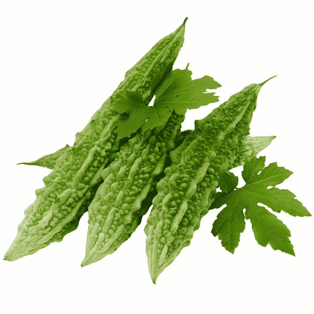 Bitter Gourd (Kakarakaya)
