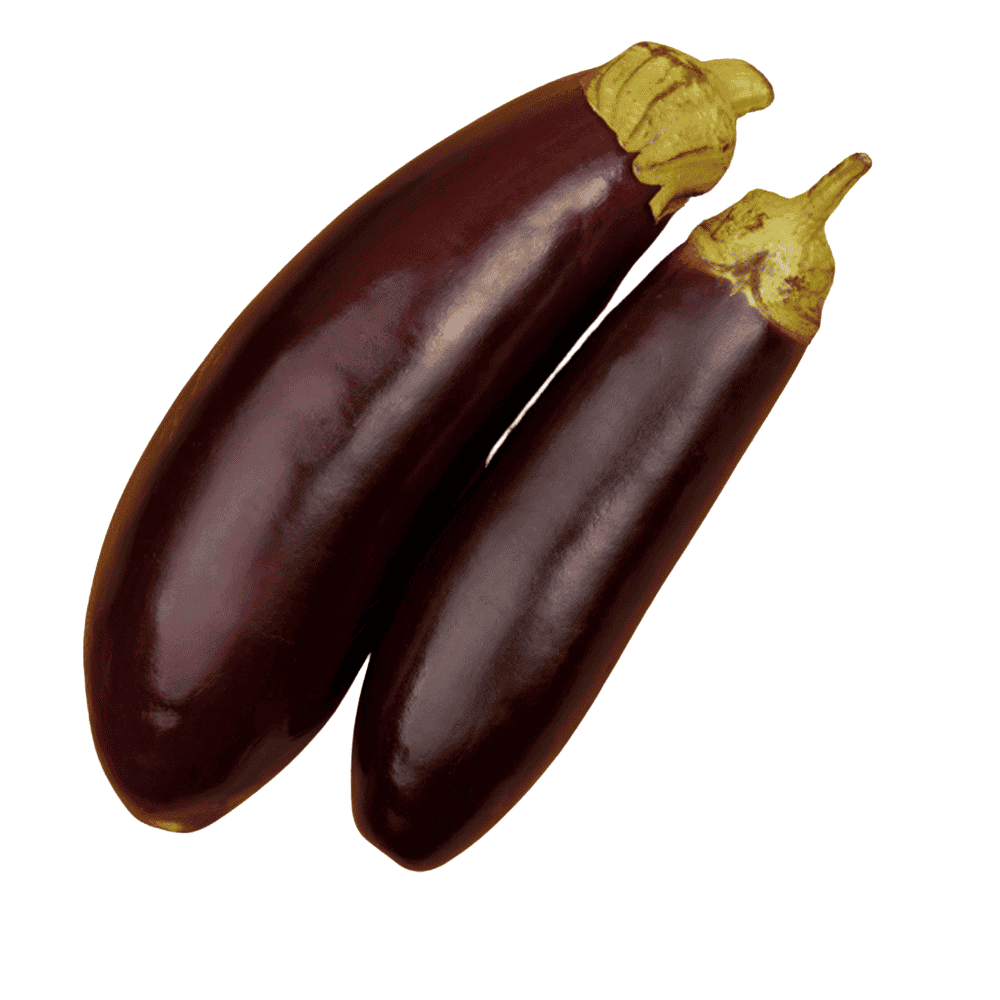 Brinjal (Vankaya)
