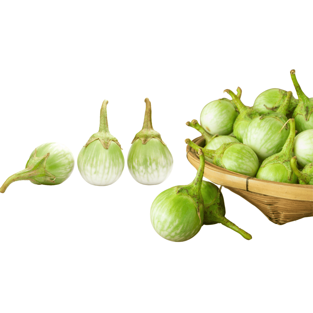 Round Green Brinjal