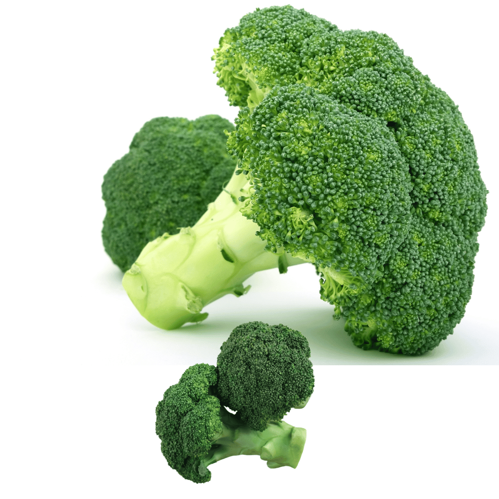 Broccoli