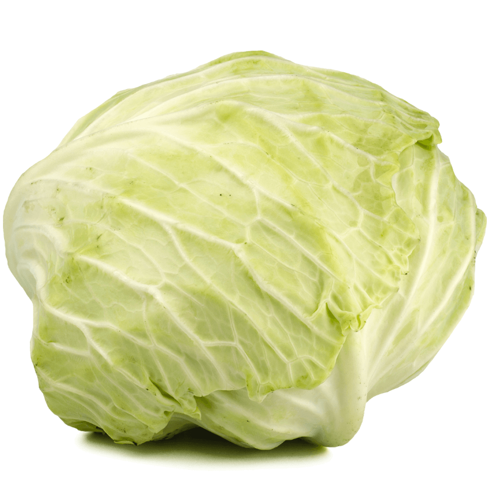 Cabbage