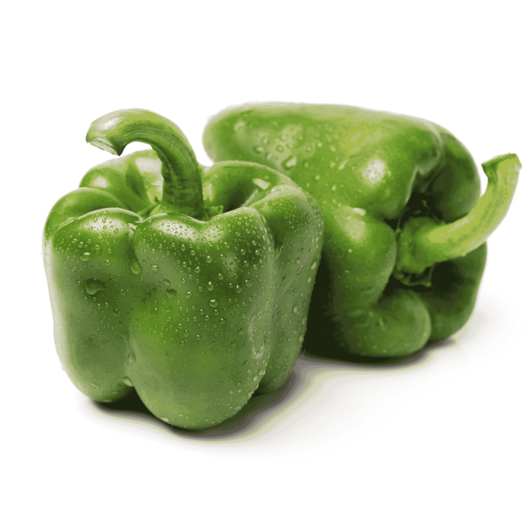 Capsicum