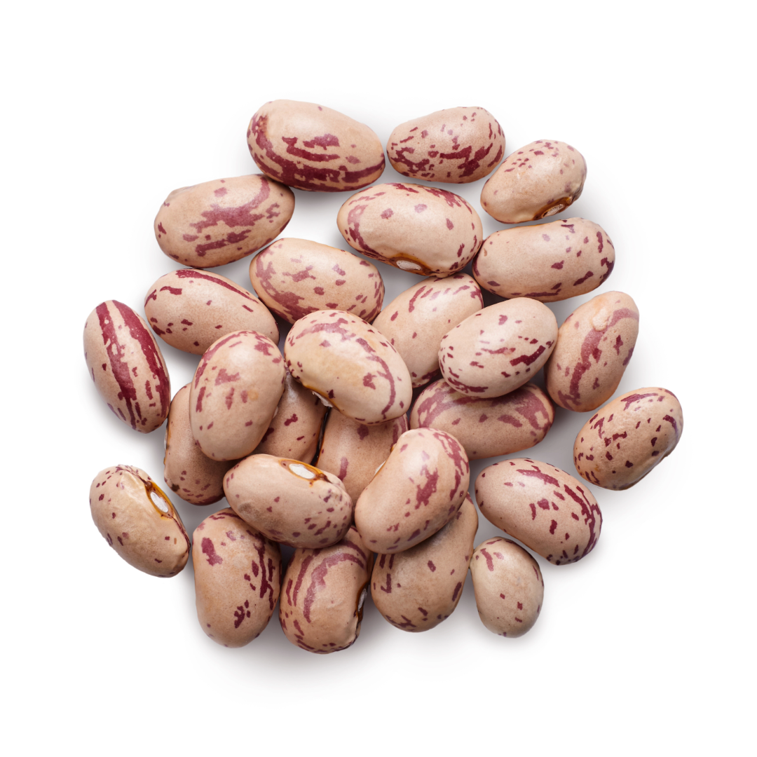 Pinto beans (Chitra Rajma)