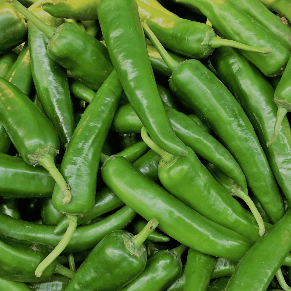 Green Chilli(Bujji Mirchi)