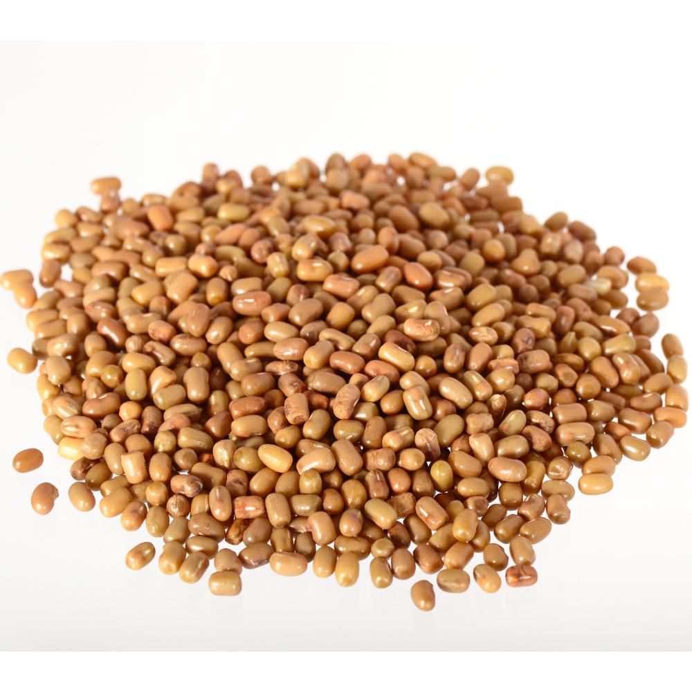 Moth bean (Kunkumapesalu)