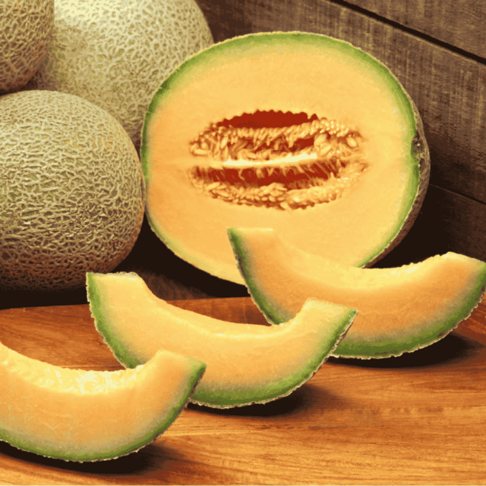 Musk Melon