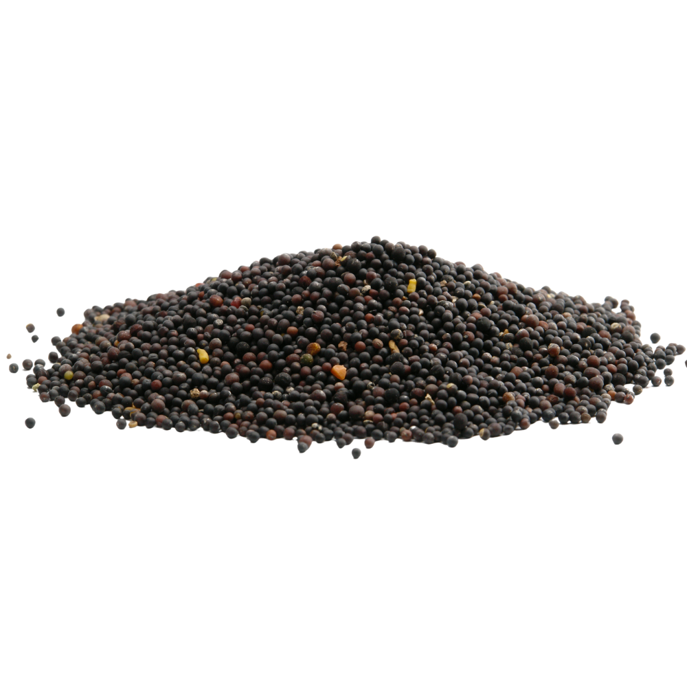 Mustard Seeds
