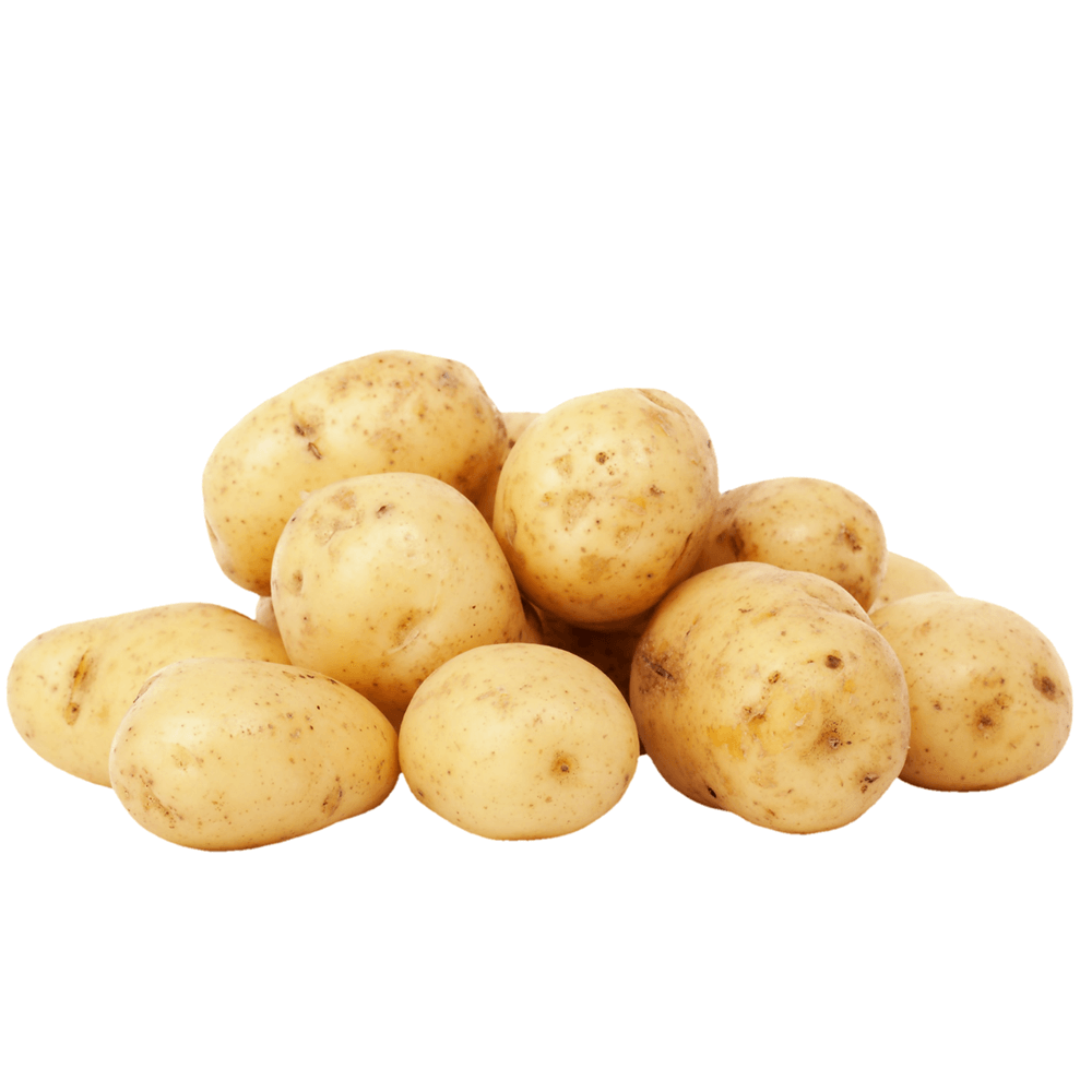 Potato