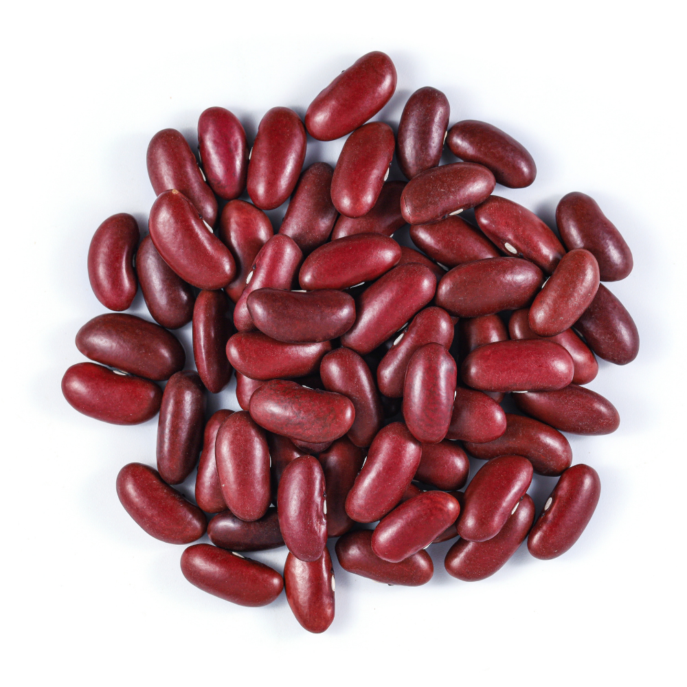 Rajma Beans