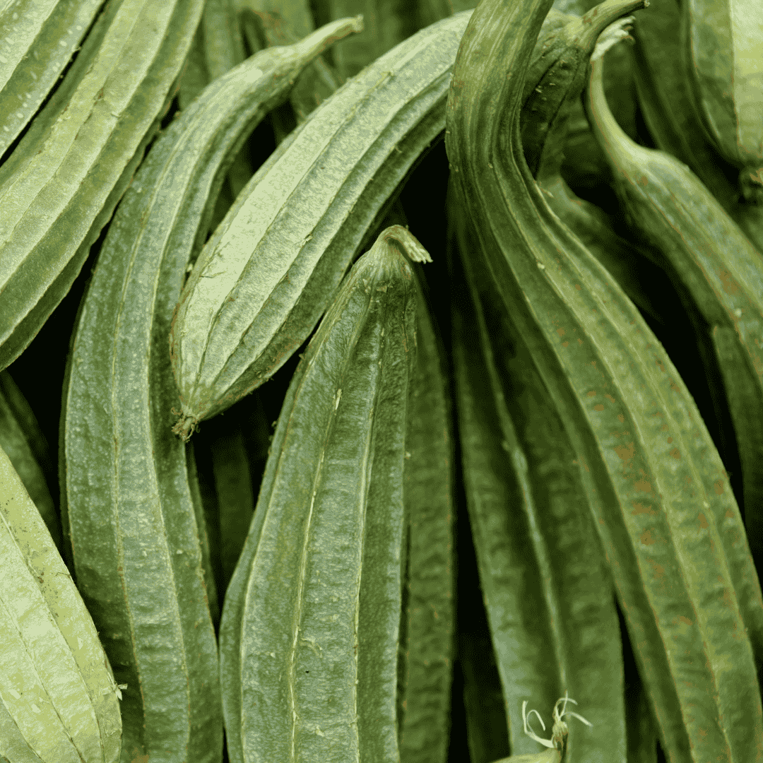 Ridge Gourd (Beerakaya)