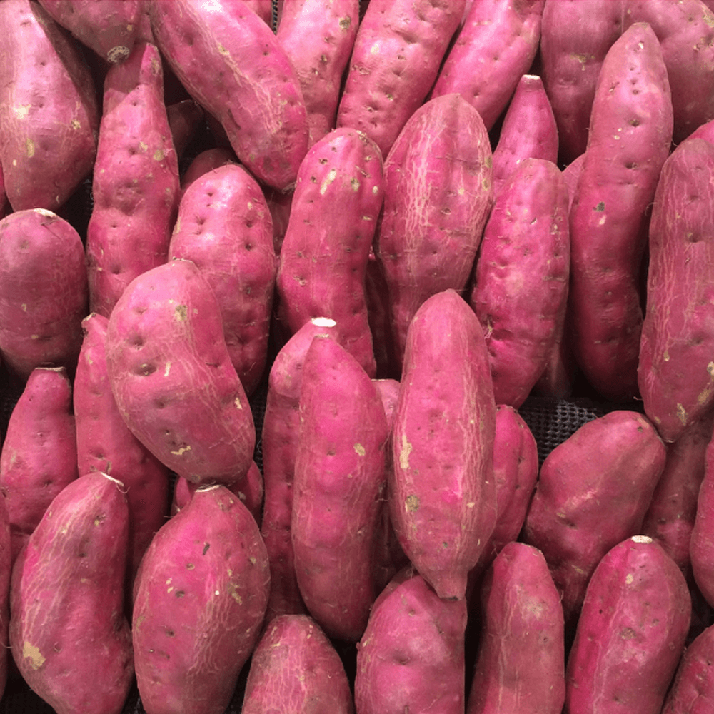 Sweet Potato