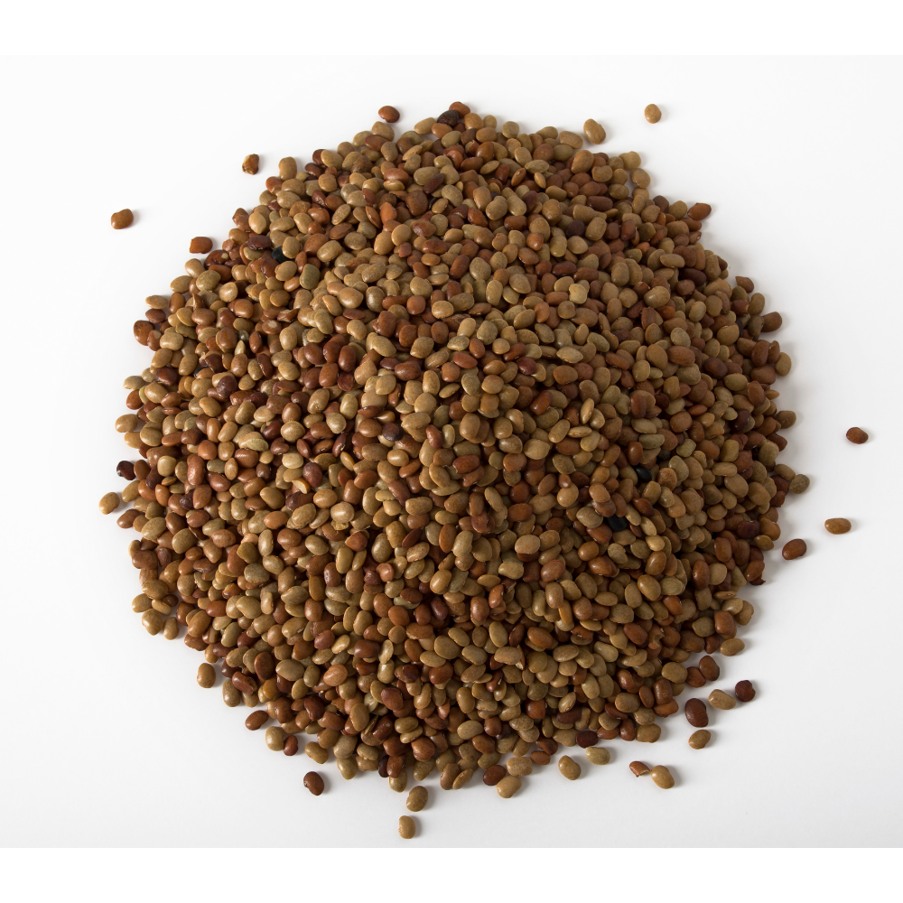 Horse gram (Ulavalu)