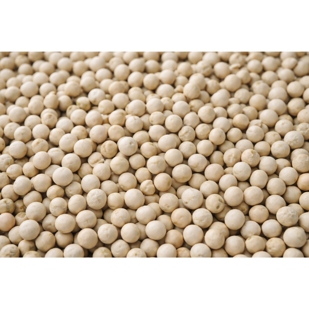 White Matar (Vati Bataneelu)